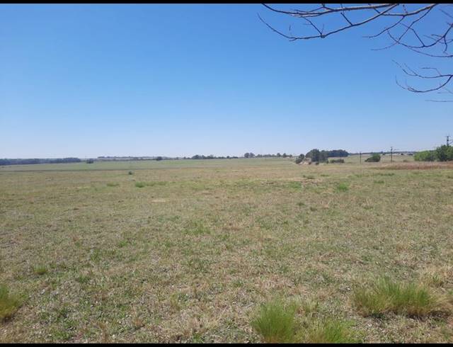 FARM FOR SALE IN RAYTON
